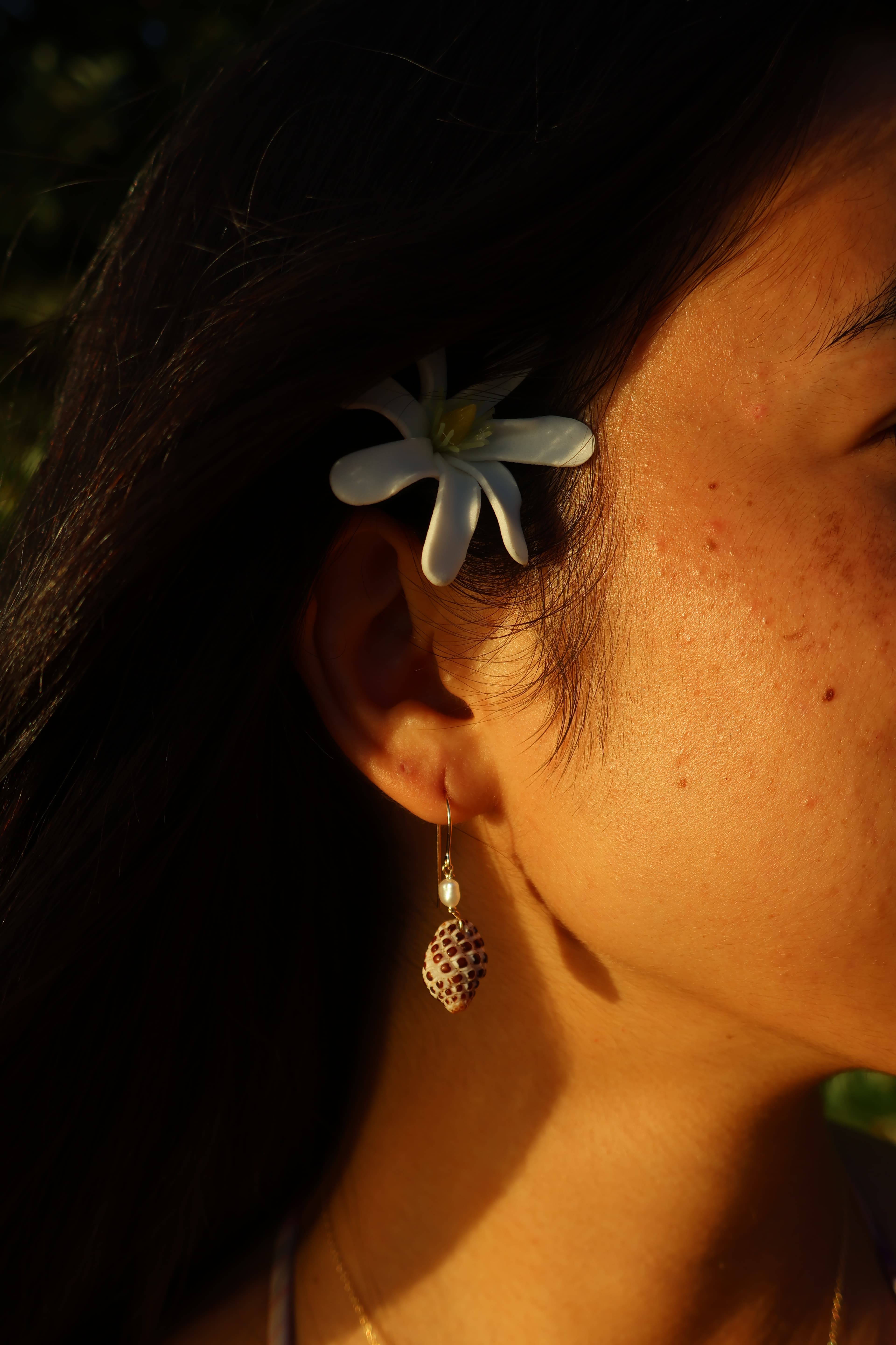 Morula Granulata Shell Earring